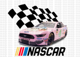 Package with 120 Files ( Designs Nascar )