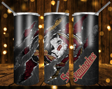 New! Designs 20 Oz Tumblers FSU 314