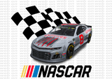 Package with 120 Files ( Designs Nascar )