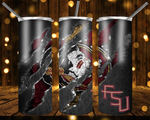 New! Designs 20 Oz Tumblers FSU 314