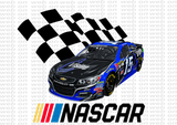 Package with 120 Files ( Designs Nascar )