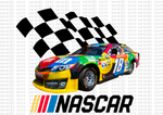 Package with 120 Files ( Designs Nascar )