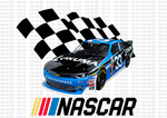 Package with 120 Files ( Designs Nascar )