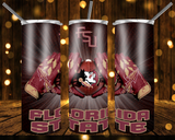 New! Designs 20 Oz Tumblers FSU 314