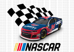 Package with 120 Files ( Designs Nascar )