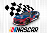 Package with 120 Files ( Designs Nascar )