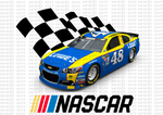 Package with 120 Files ( Designs Nascar )