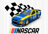 Package with 120 Files ( Designs Nascar )