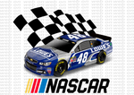 Package with 120 Files ( Designs Nascar )