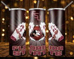 New! Designs 20 Oz Tumblers FSU 314