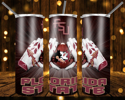 New! Designs 20 Oz Tumblers FSU 314