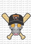 Package with 104 Files (Designs BaseBall Skulls )