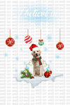 Designs Dogs Merry Christmas