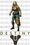 Designs Destiny