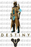 Designs Destiny