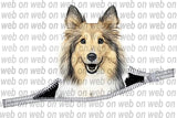 New! Designs Zipper Dogs