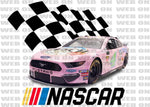 Designs Nascar 01