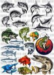 New! Designs Fishing 02